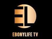 ebonylife tv press e1645780626144